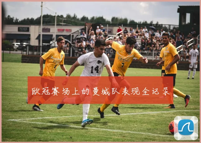 欧冠赛场上的曼城队表现全记录