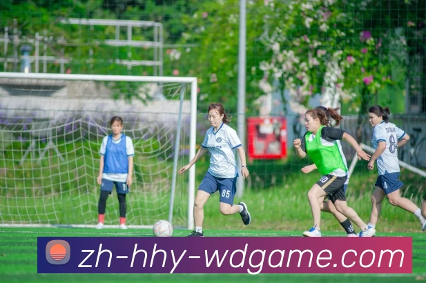 多媒体互动体验