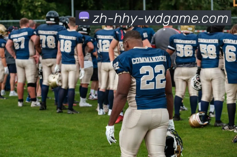 数据防护可视化